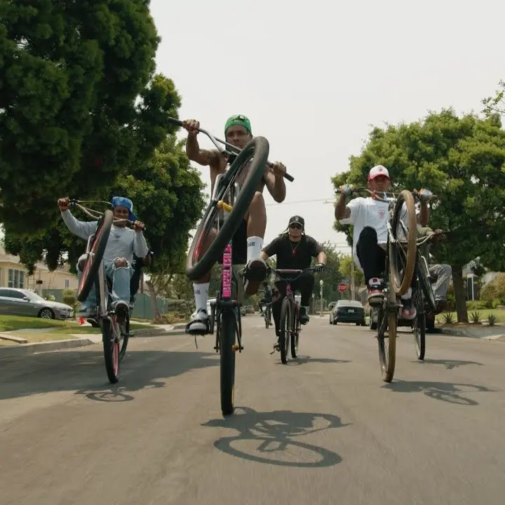 Mobirise